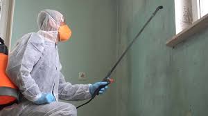 Professional Mold Inspection in Birdsboro, PA